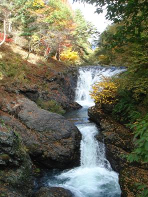 秋の多留姫の滝