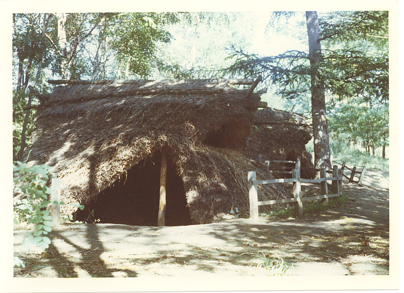 復元された縄文集落の姿の写真
