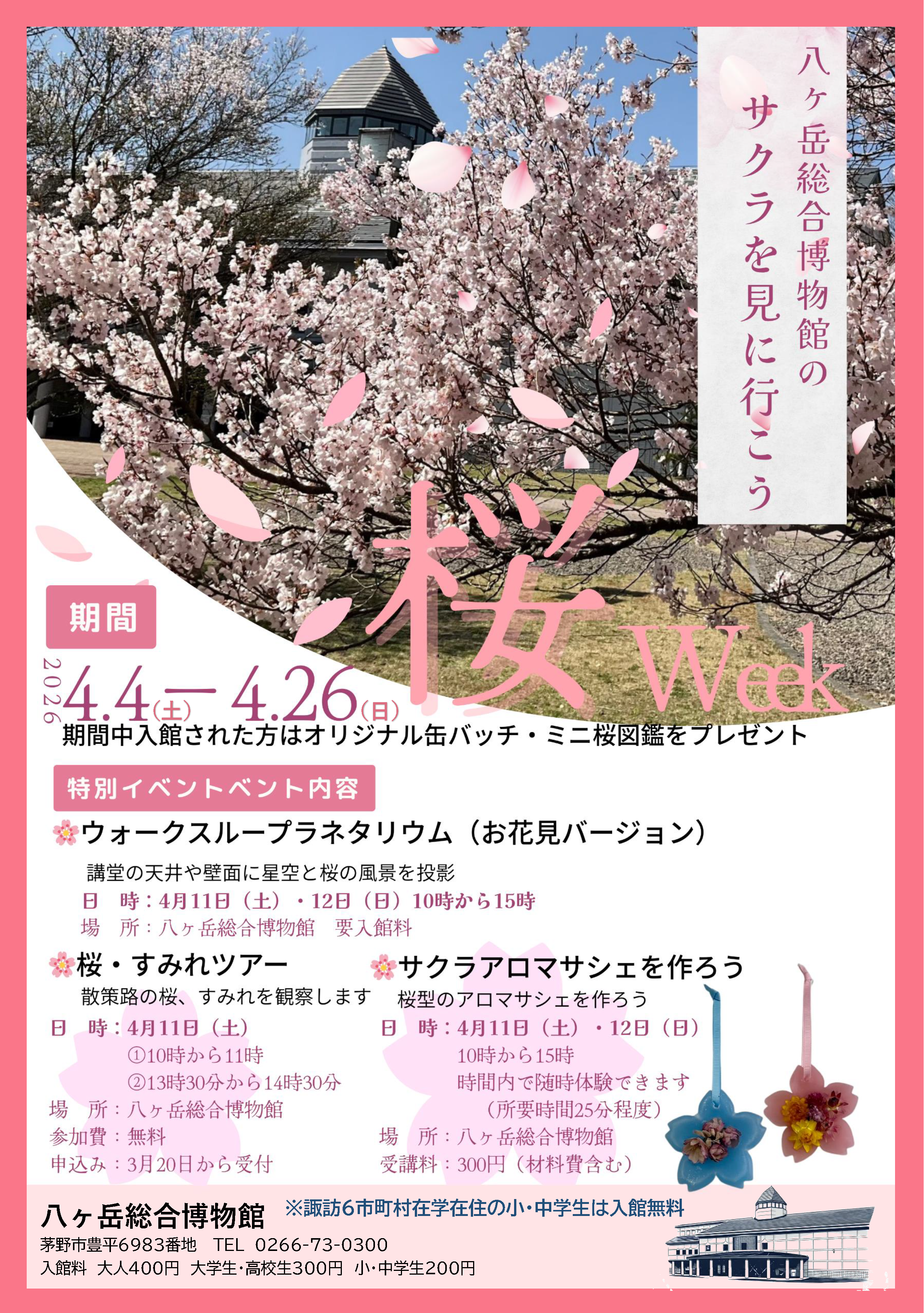 八ヶ岳総合博物館「さくらWeek」の画像