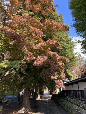 令和3年10月26日撮影　長円寺