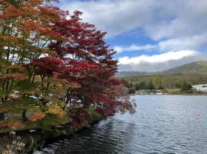 令和3年10月26日撮影　蓼科湖