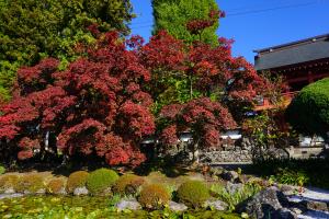 令和3年10月28日撮影　長円寺