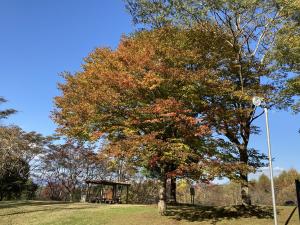 令和3年10月28日撮影　金沢公園