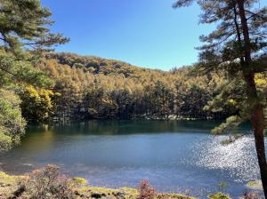 令和3年10月29日撮影　御射鹿池