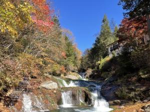 令和3年10月29日撮影　おしどり隠しの滝