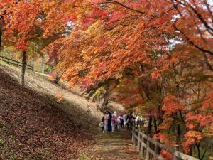 令和3年11月1日撮影　金沢公園