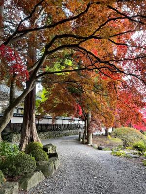 令和3年11月1日撮影　長円寺