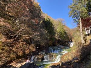 令和3年11月4日撮影　おしどり隠しの滝