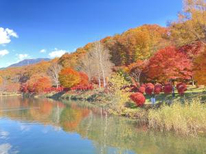 令和3年11月4日撮影　蓼科湖