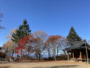 令和3年11月4日撮影　横谷観音堂