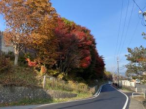 令和3年11月4日撮影　中央道沿い（メリーパーク様南側）