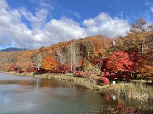 令和3年11月8日撮影　蓼科湖