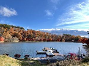 令和3年11月8日撮影　蓼科湖