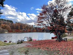 令和3年11月11日撮影　蓼科湖