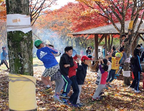 プレイパーク活動実績の画像