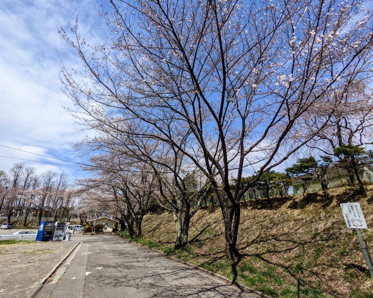 令和4年4月11日撮影