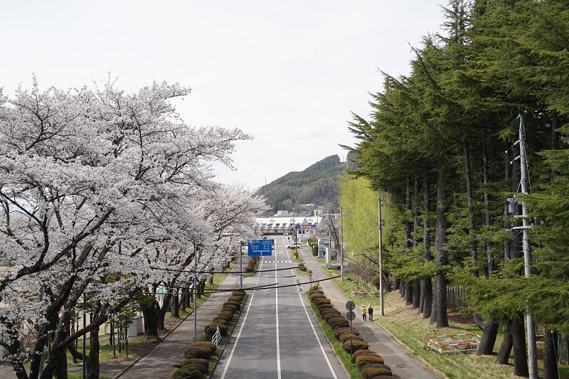 令和4年4月13日撮影