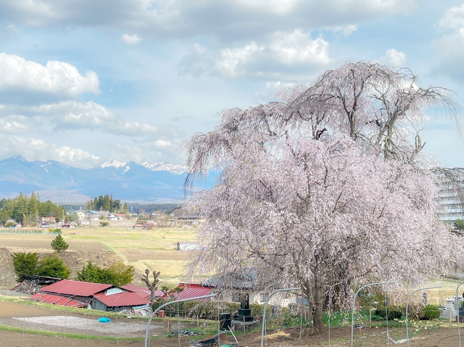 令和4年4月13日撮影