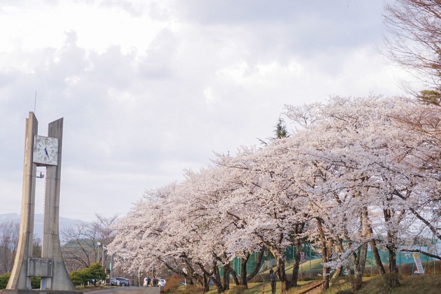 令和4年4月13日撮影