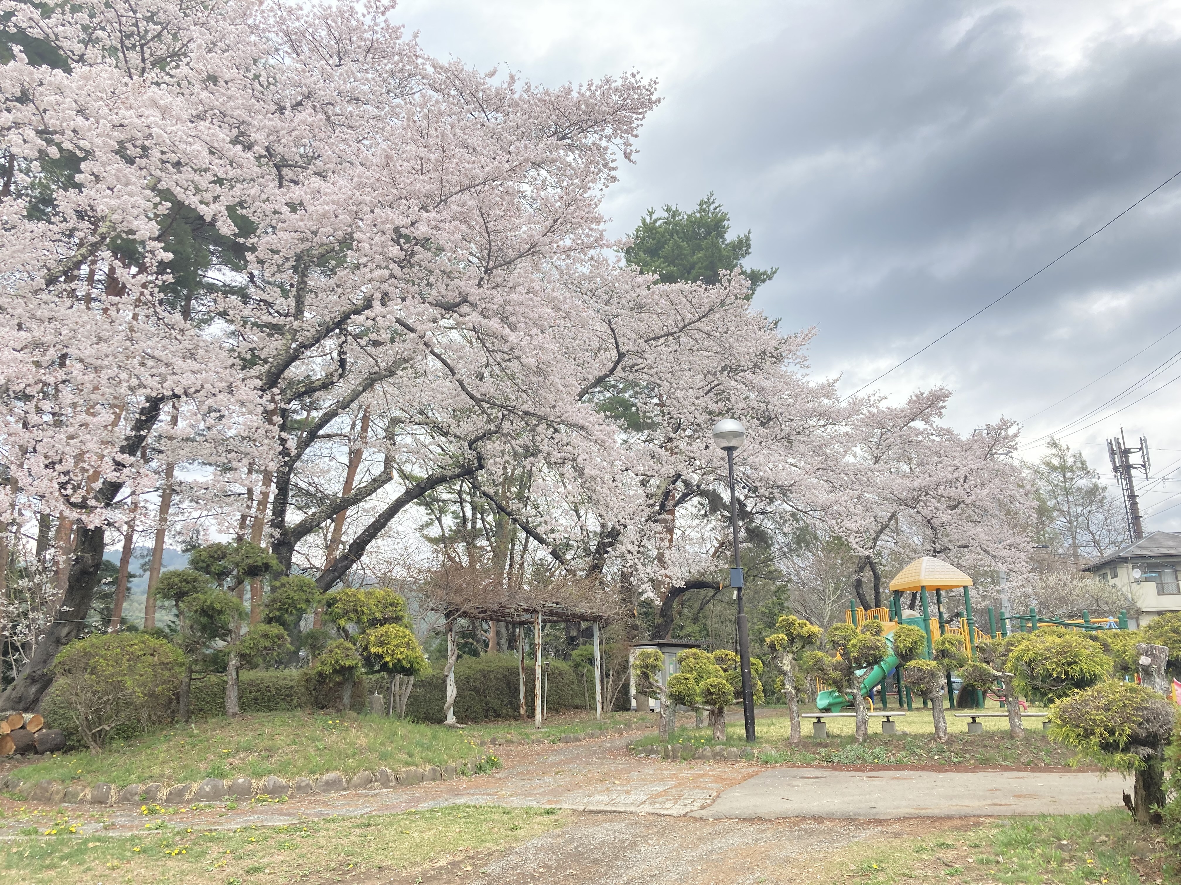 令和4年4月14日撮影