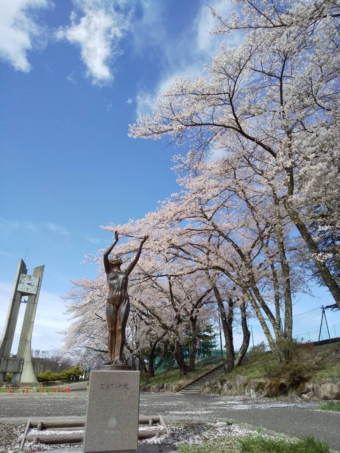 令和4年4月16日撮影