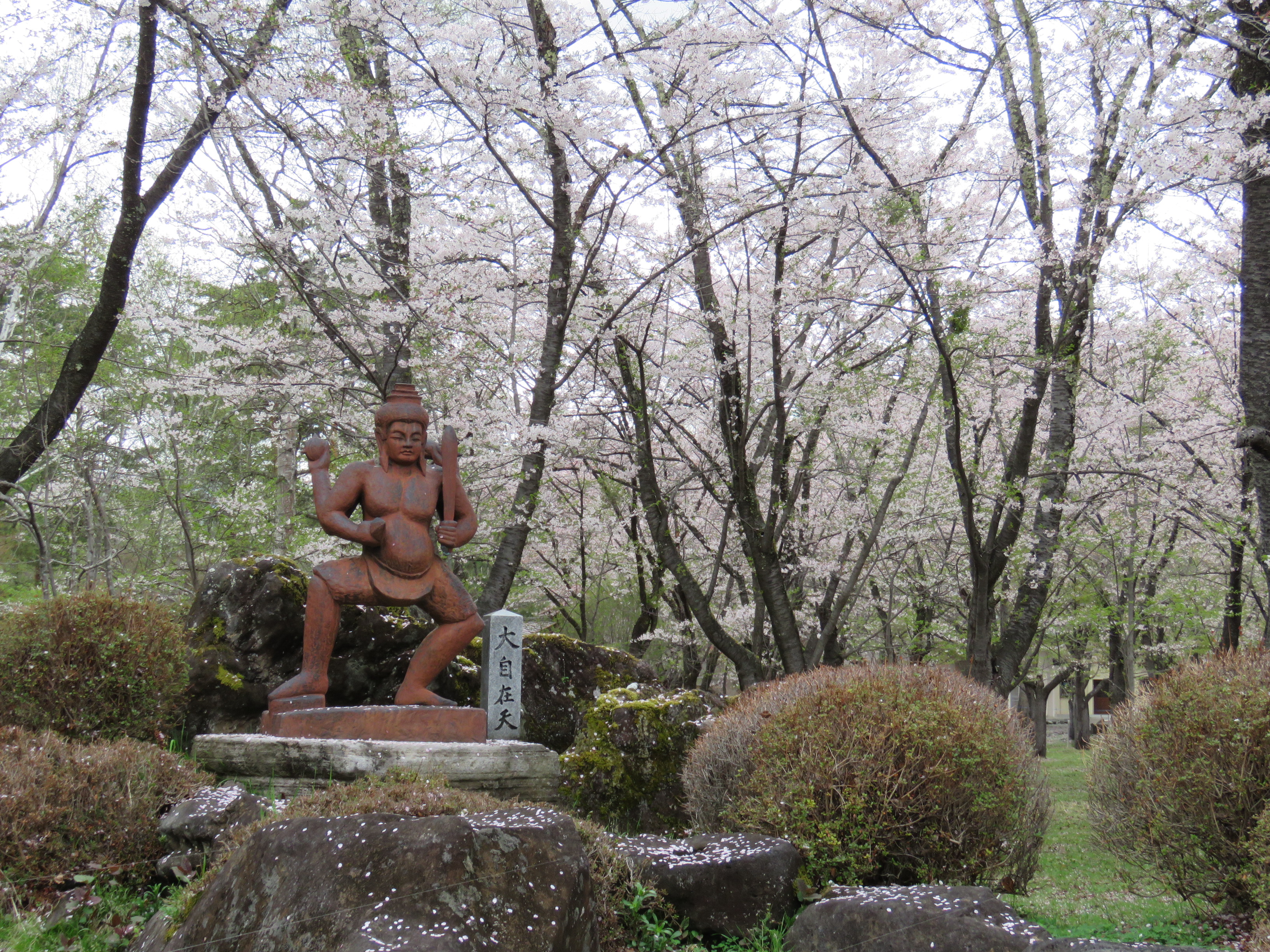 令和4年4月27日撮影