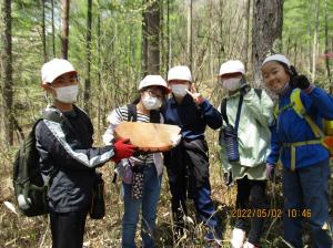 伐採した木の材木を持つ子ども