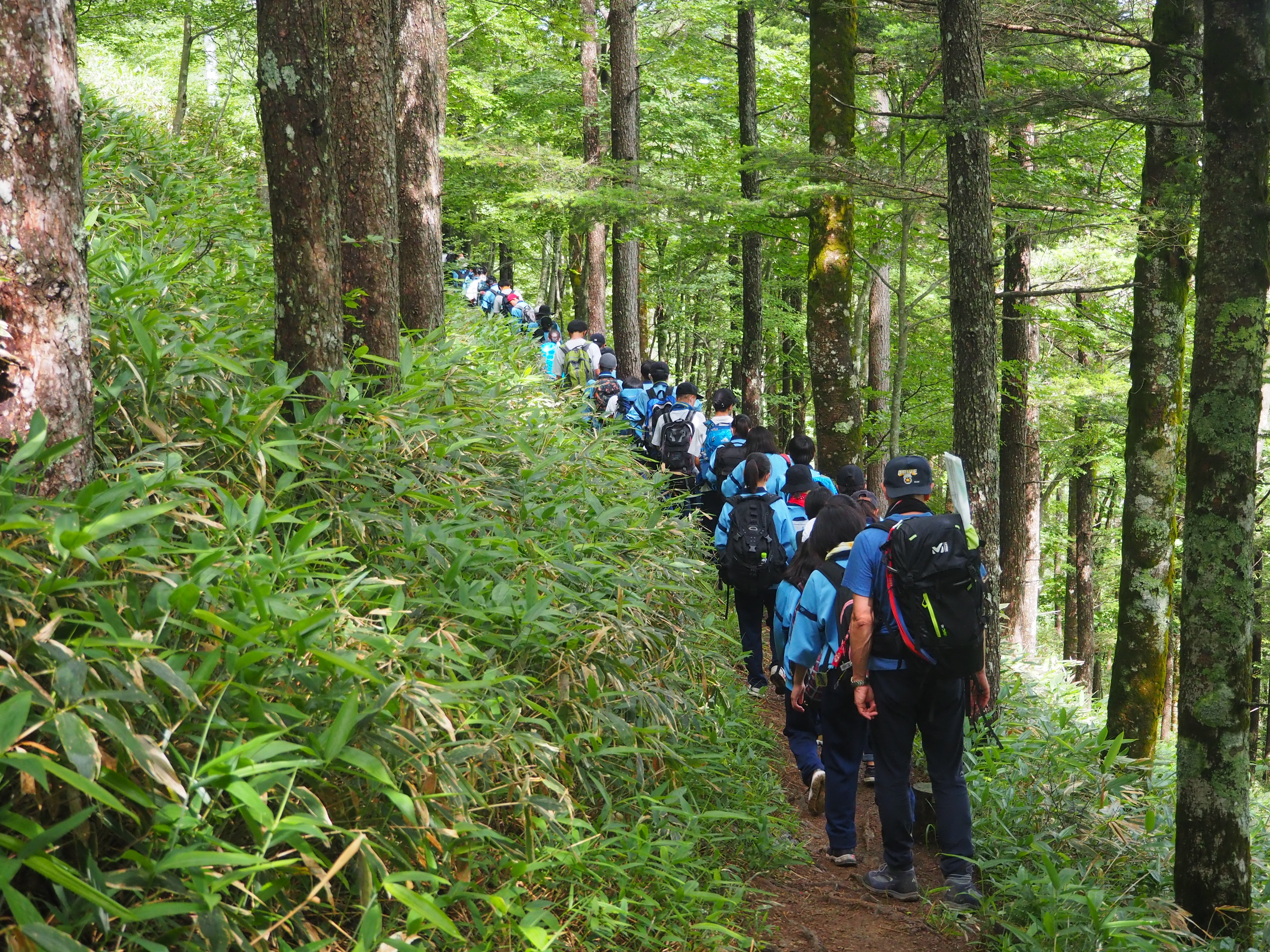 入笠山登山登山道の様子の画像