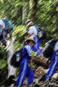 登山　登っています。