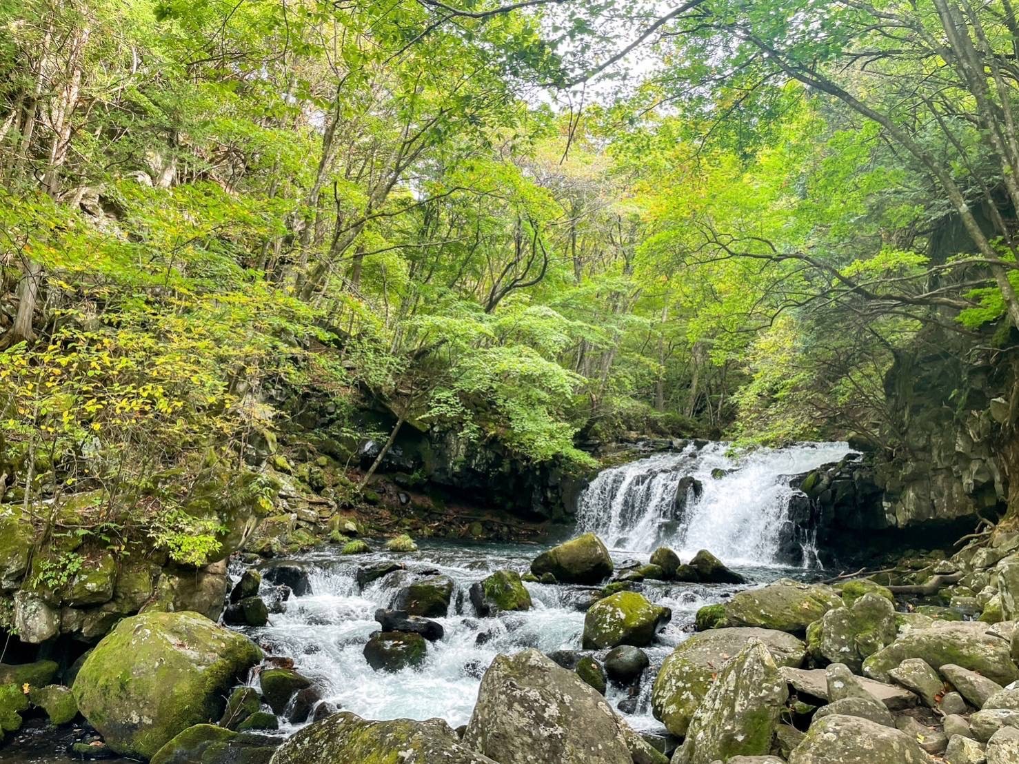 蓼科大滝