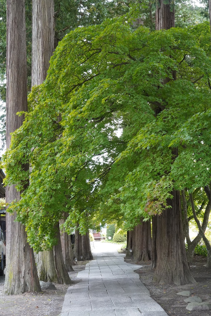 長円寺