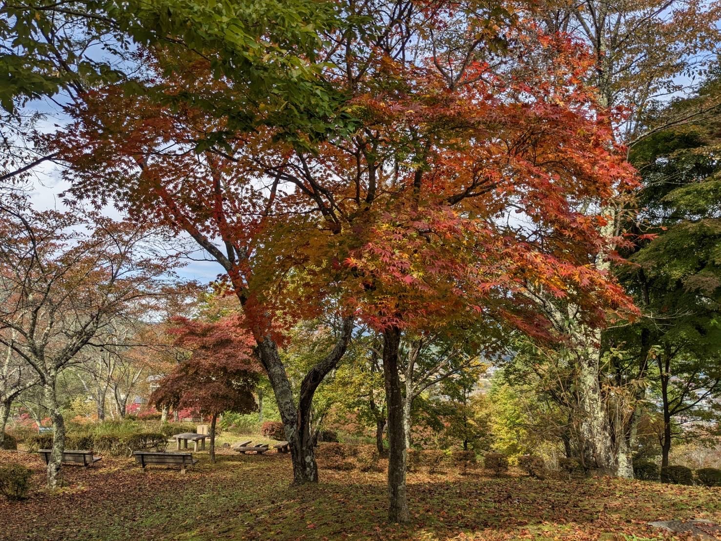 金沢公園