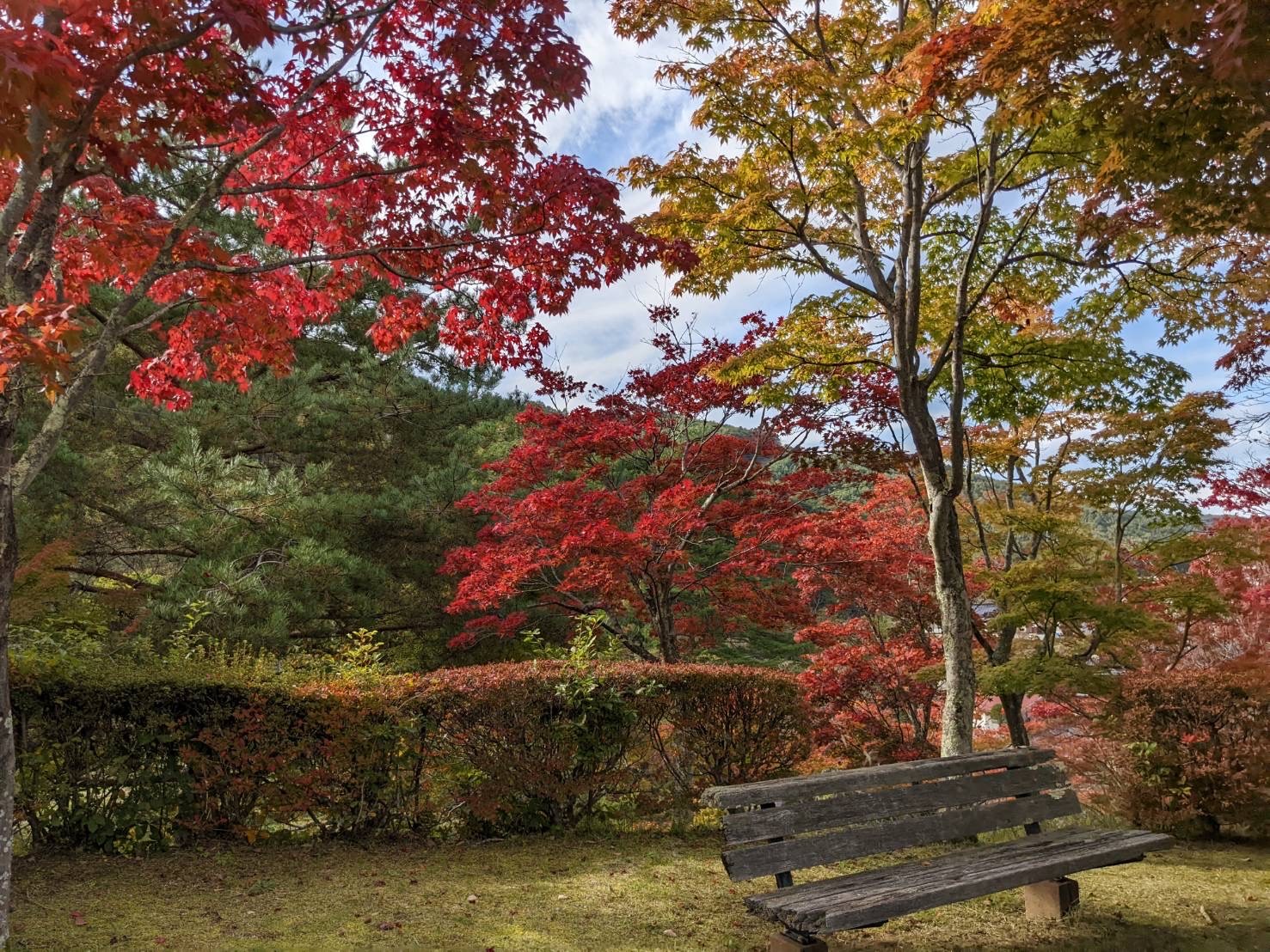 金沢公園