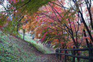 金沢公園