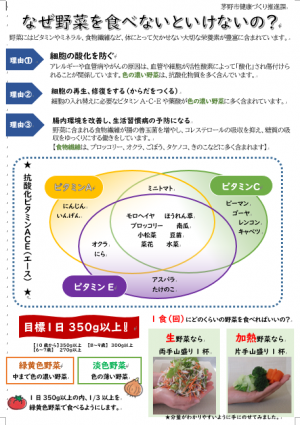 なぜ野菜を食べないといけないの