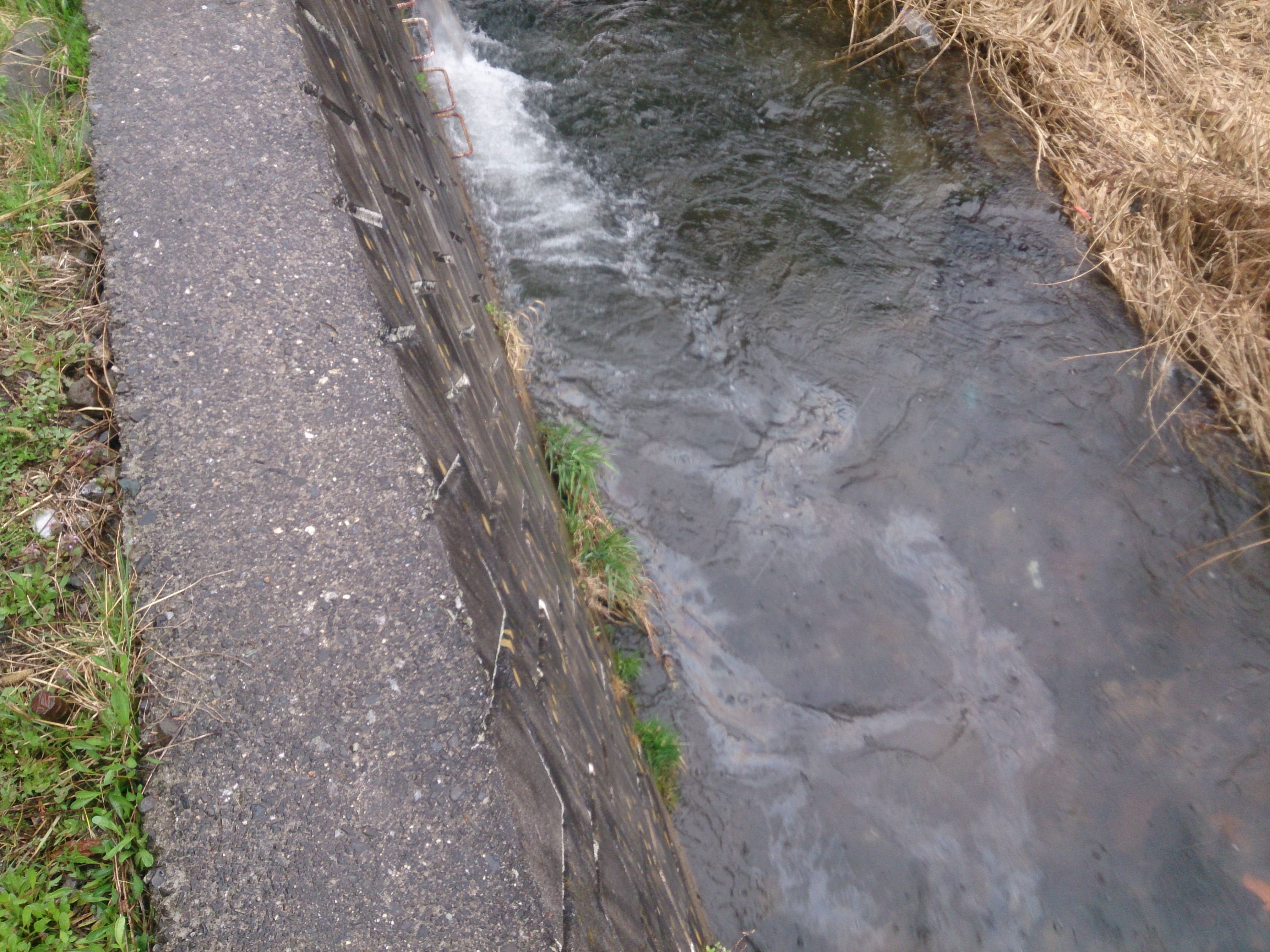 河川に油膜