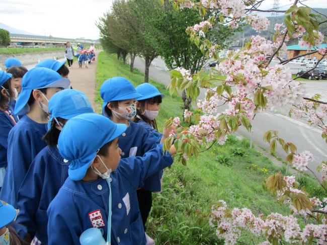 桜の木に手を触れる子ども達