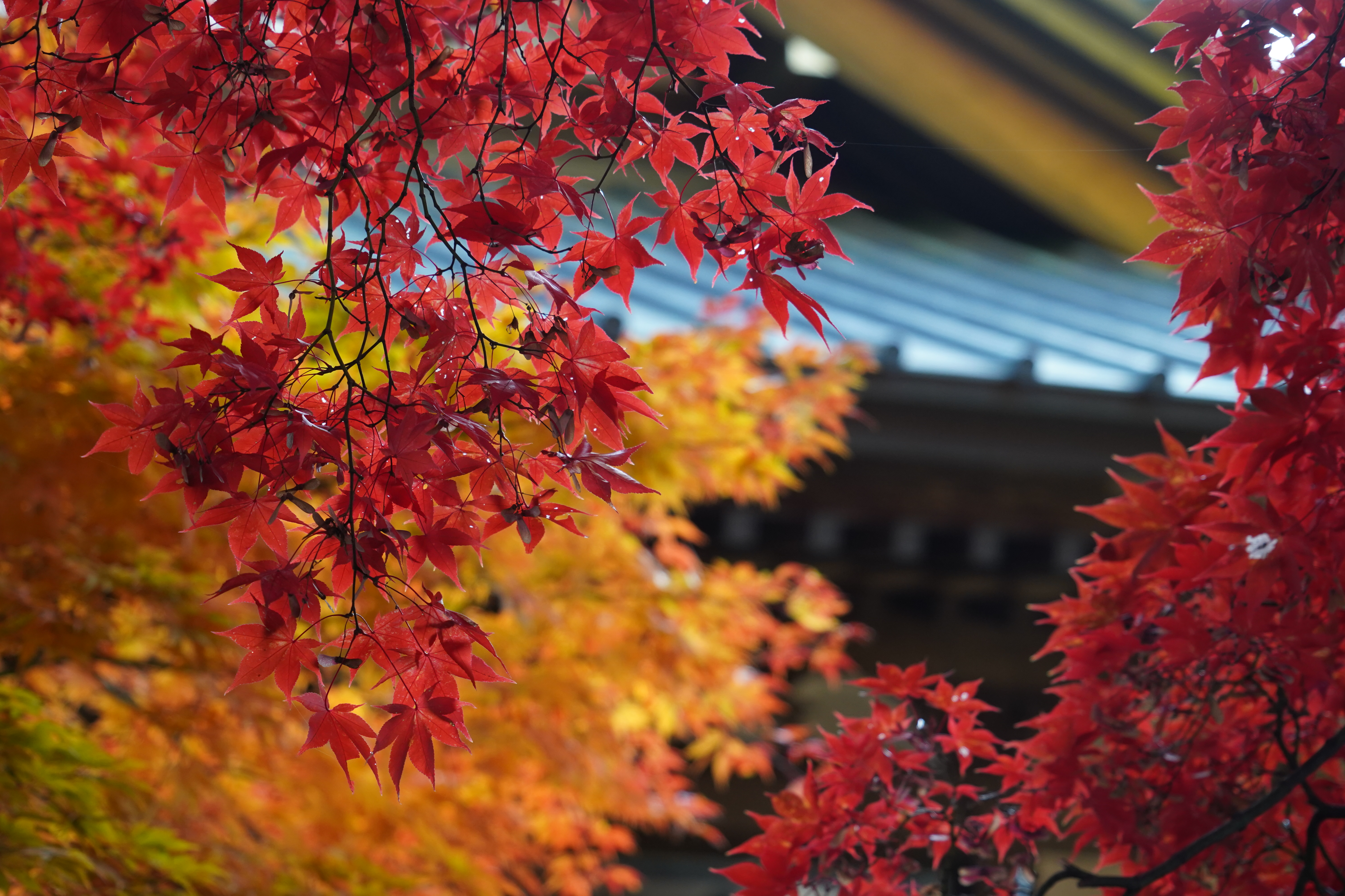 長円寺