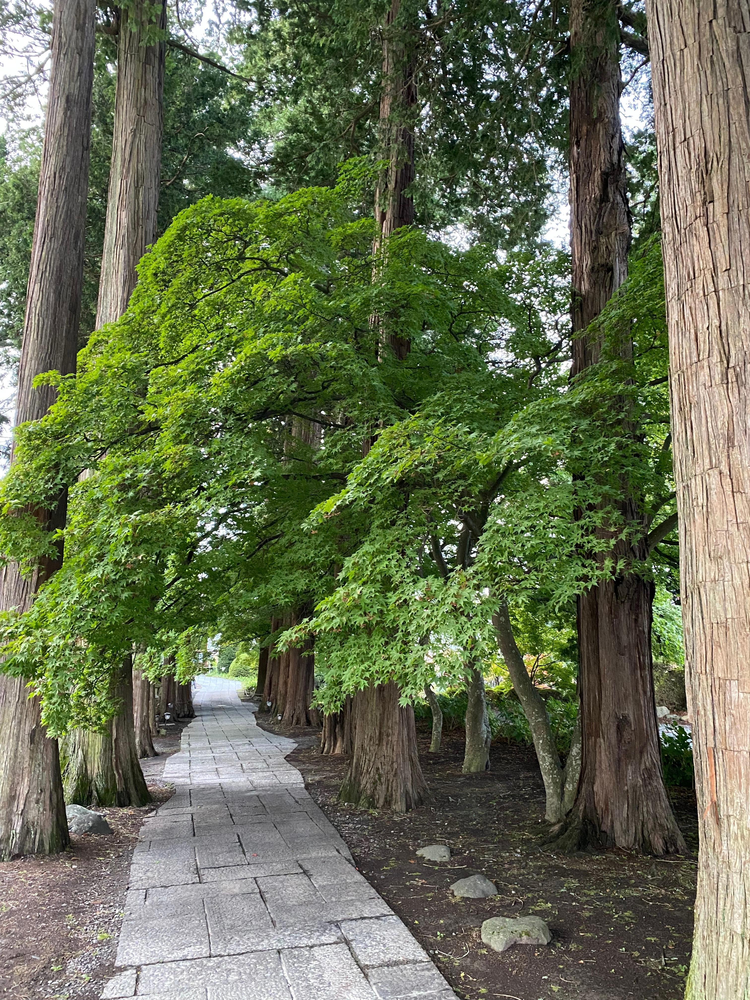 長円寺