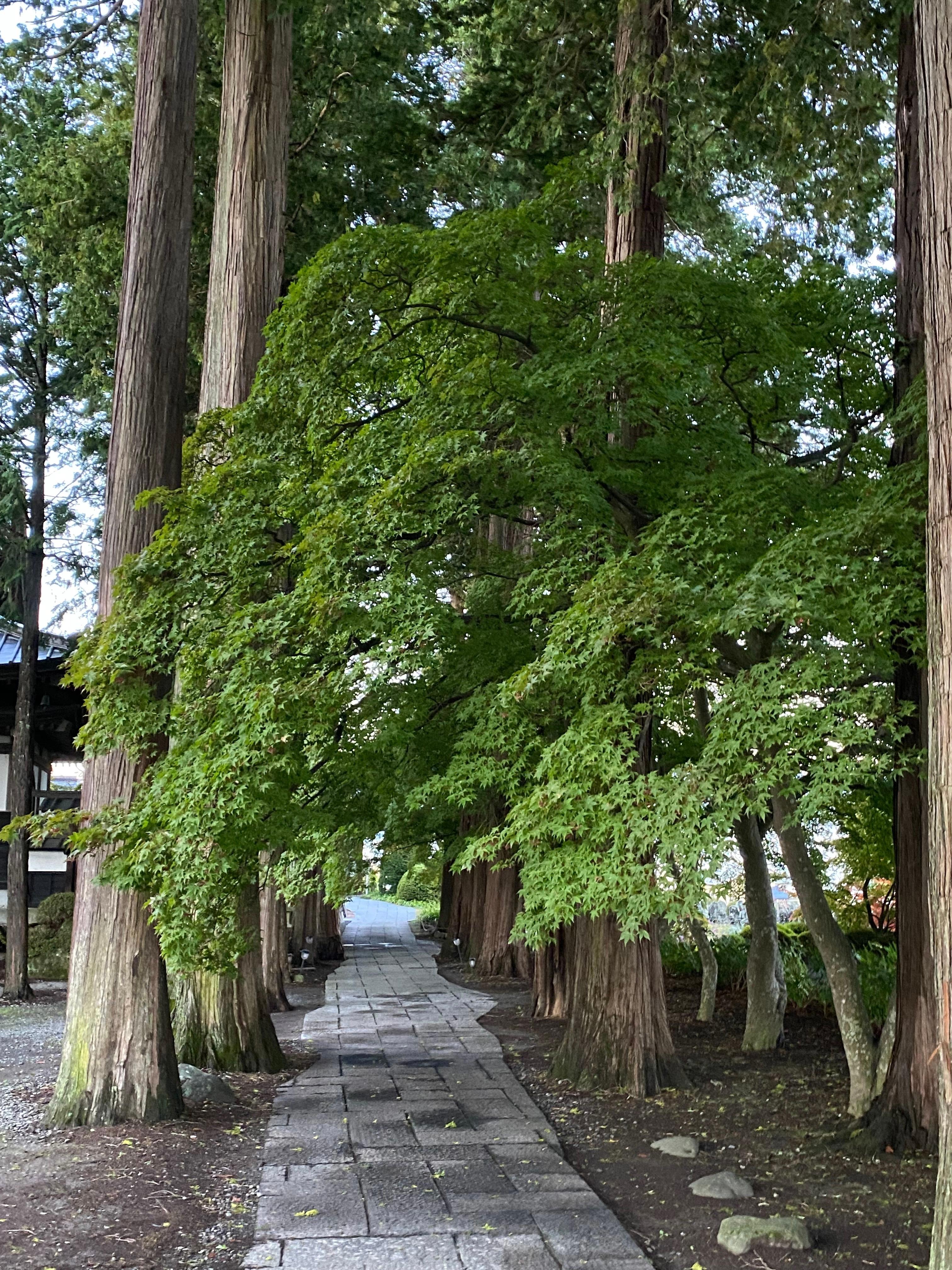 長円寺