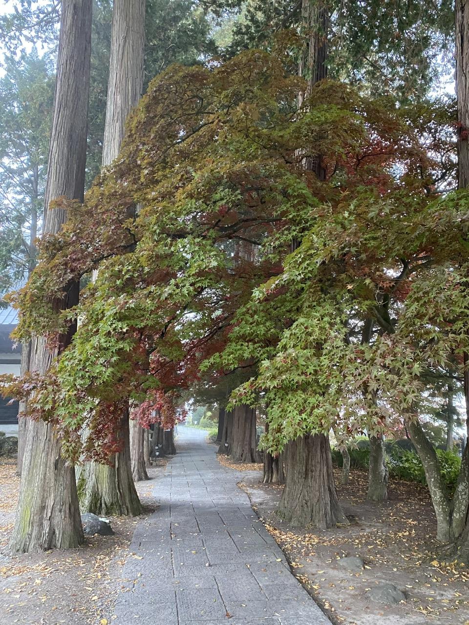 長円寺