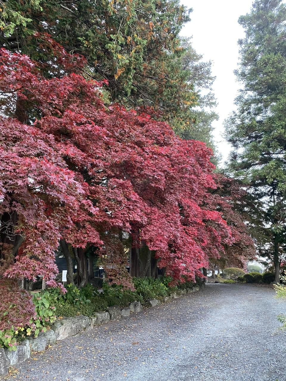 長円寺