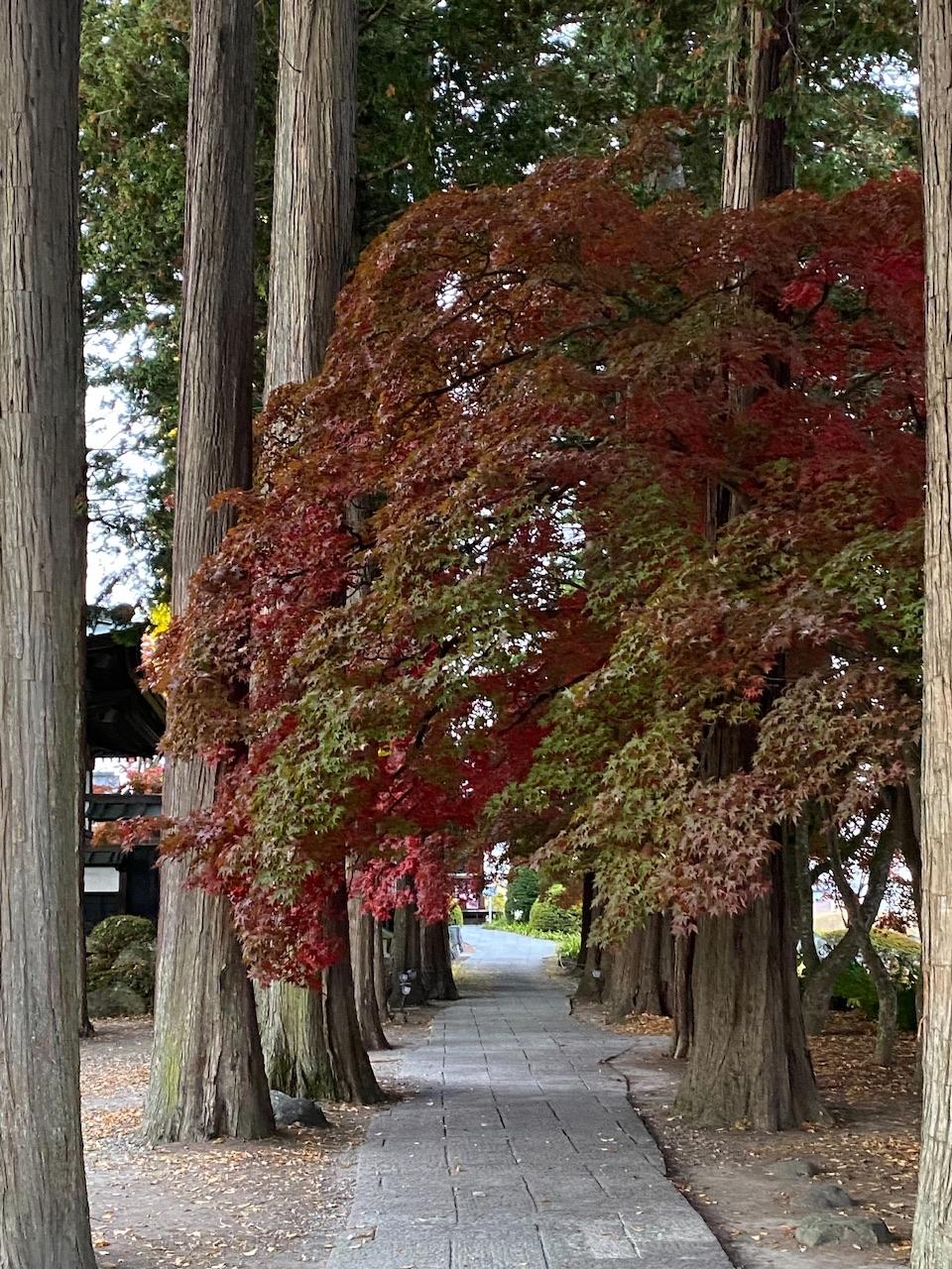 長円寺