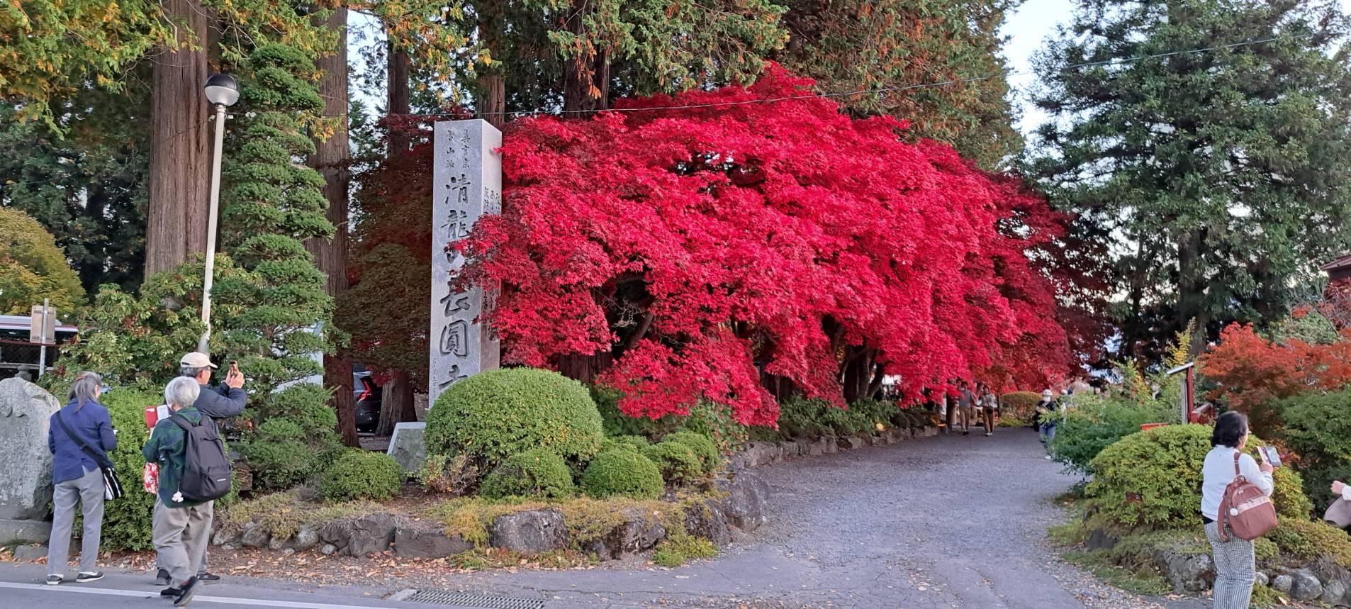 長円寺