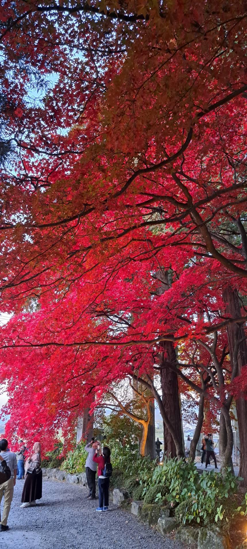 長円寺