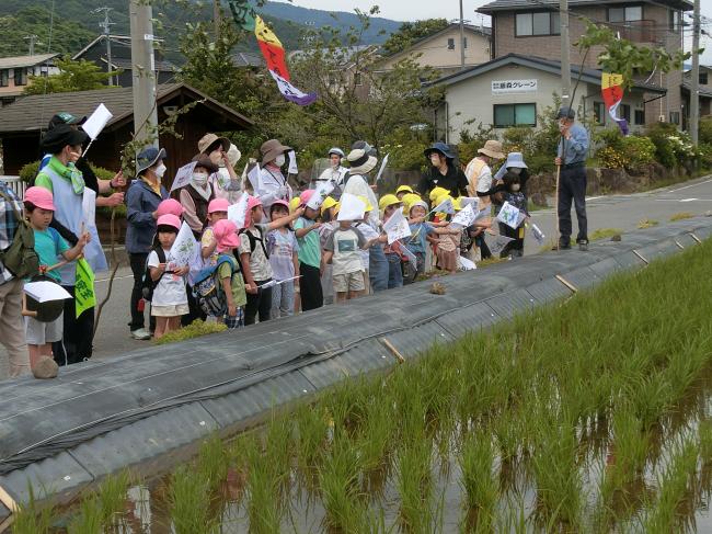 地域の方と稲虫まつり