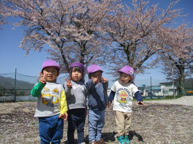 園庭　桜の木