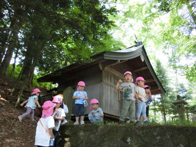 青柳神社で