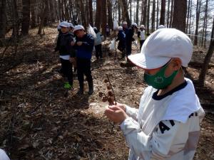 学有林にでかけよう