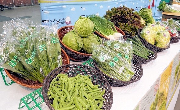 八ヶ岳西麓地域の野菜